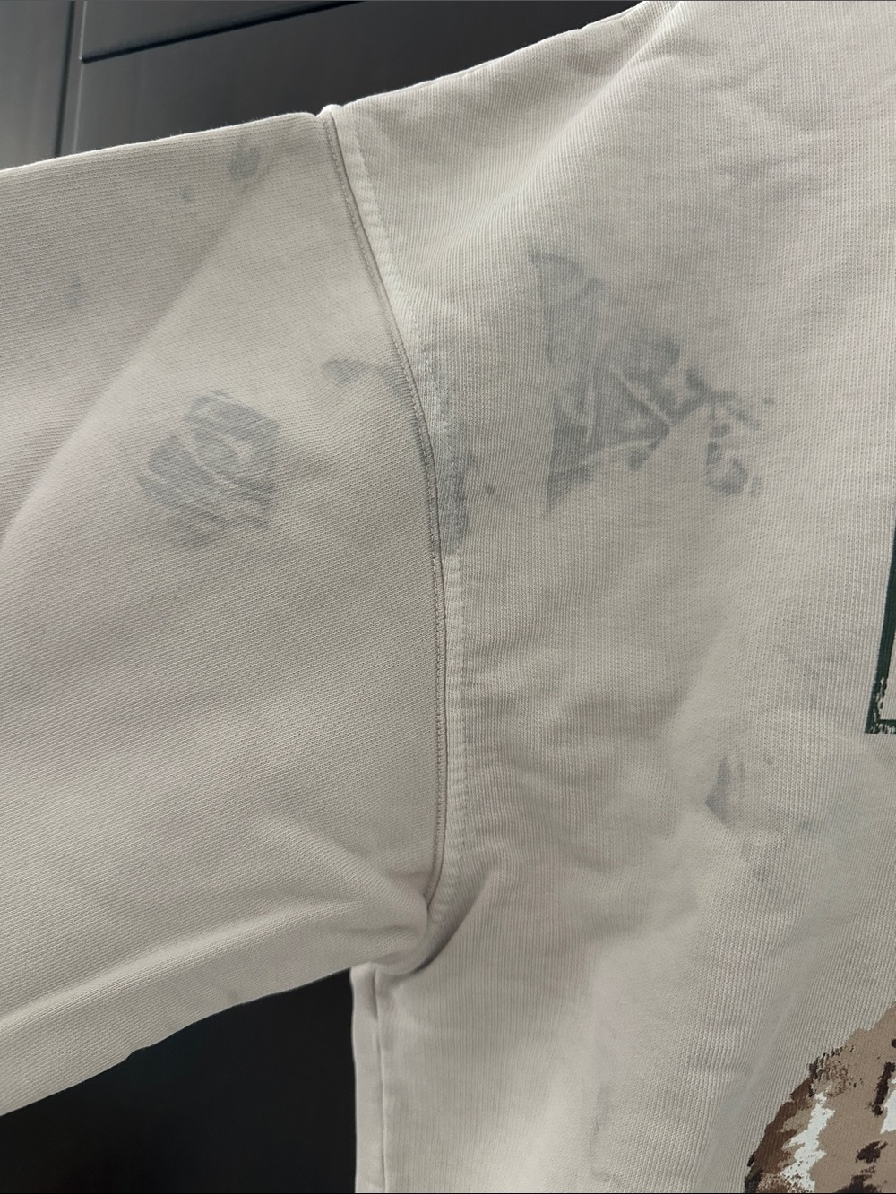 Anine Bing Tiger Sweatshirt in Stone Large - Picture 3 of 12